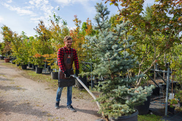 Best Leaf Removal  in Howard, WI